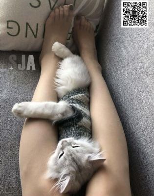 密桃成熟时伦理_BD英语超清在线观看
